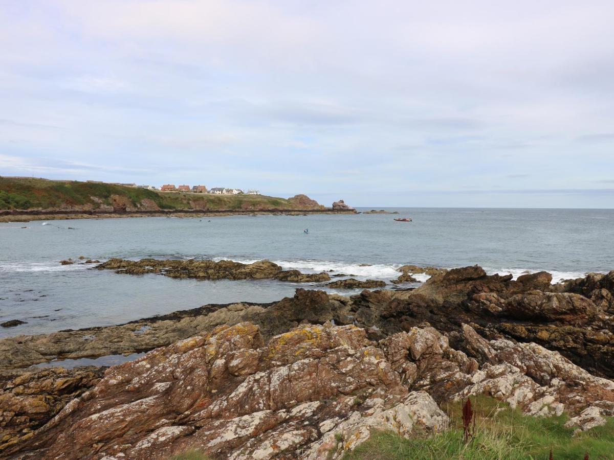 Meadow Lodge Coldingham Dış mekan fotoğraf